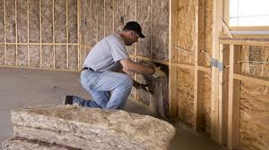 Best Crawl Space Insulation  in Crosby, TX