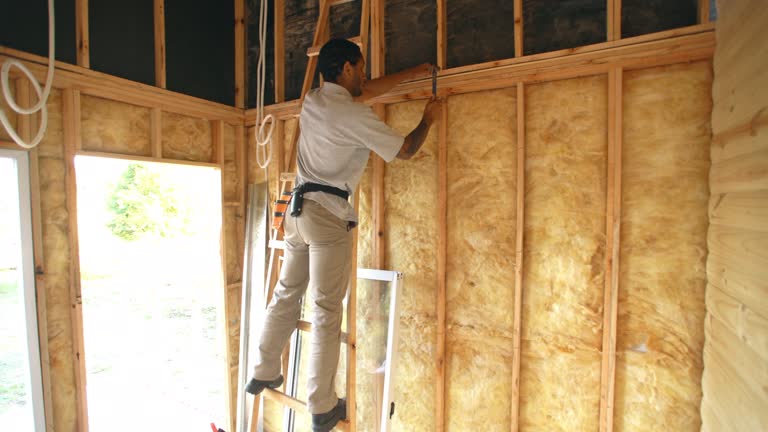 Best Attic Insulation Installation  in Crosby, TX